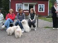 Havanais träff 016.jpg